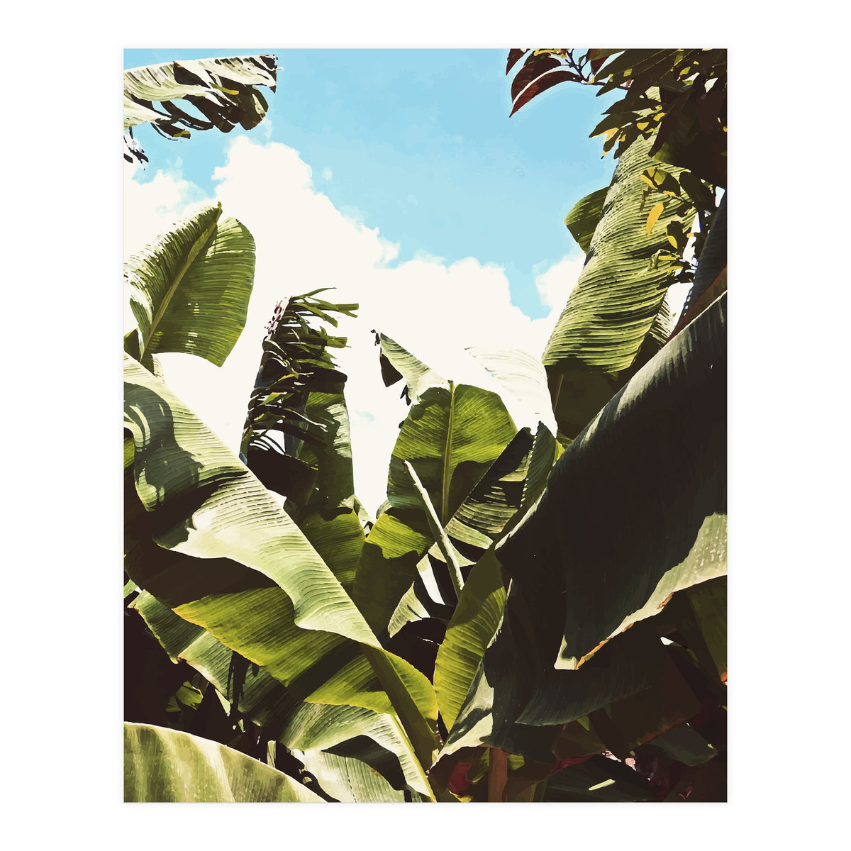 Silent Compilation (Print Only)