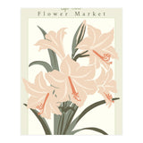 Flower Market Cap Town Amaryllis (Print Only) thumbnail