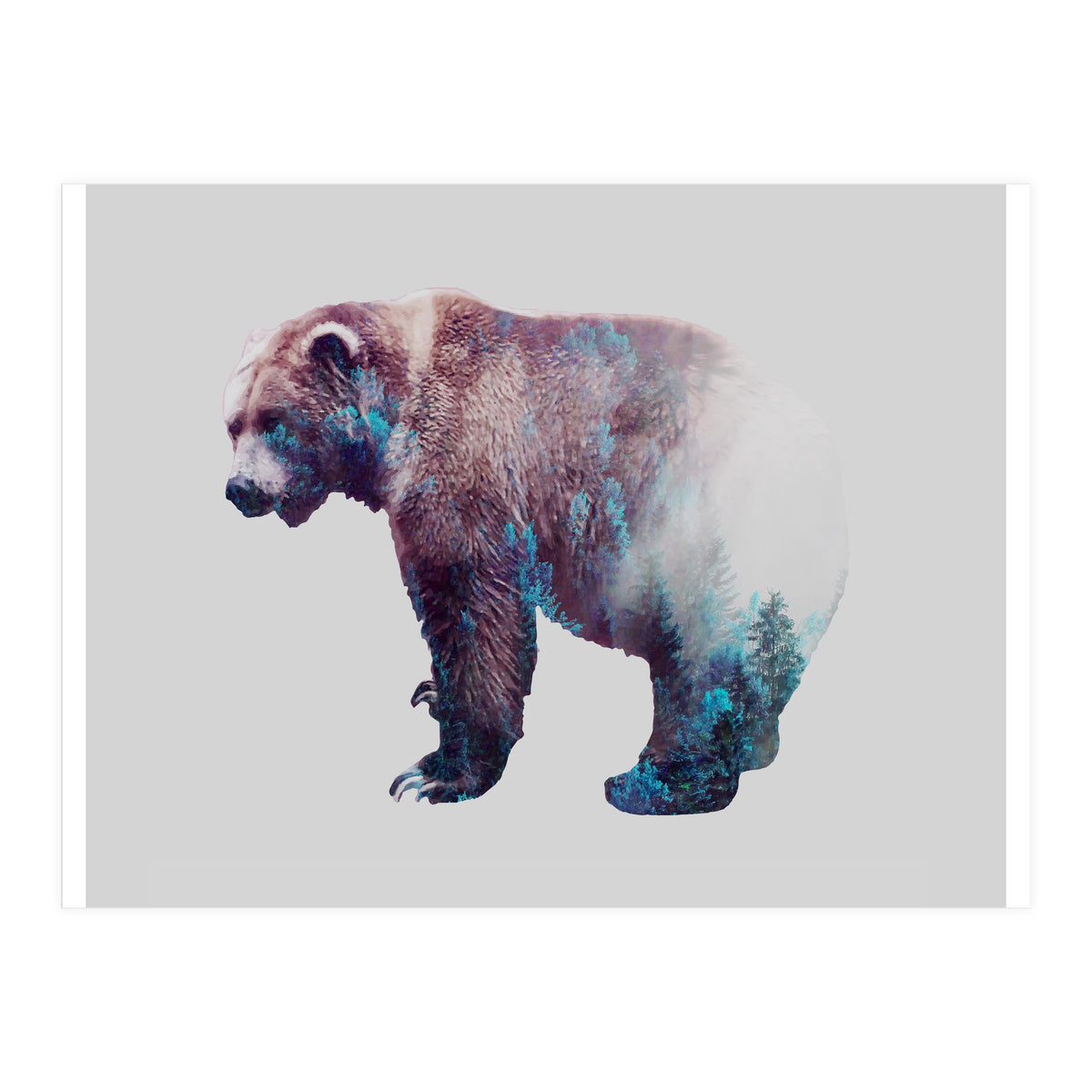 Repressed Transformation (Print Only)