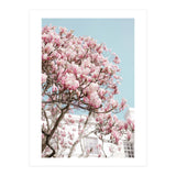 Spring Time (Print Only) thumbnail