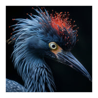 Blue Heron Bird Head With Orange Crown  (Print Only)
