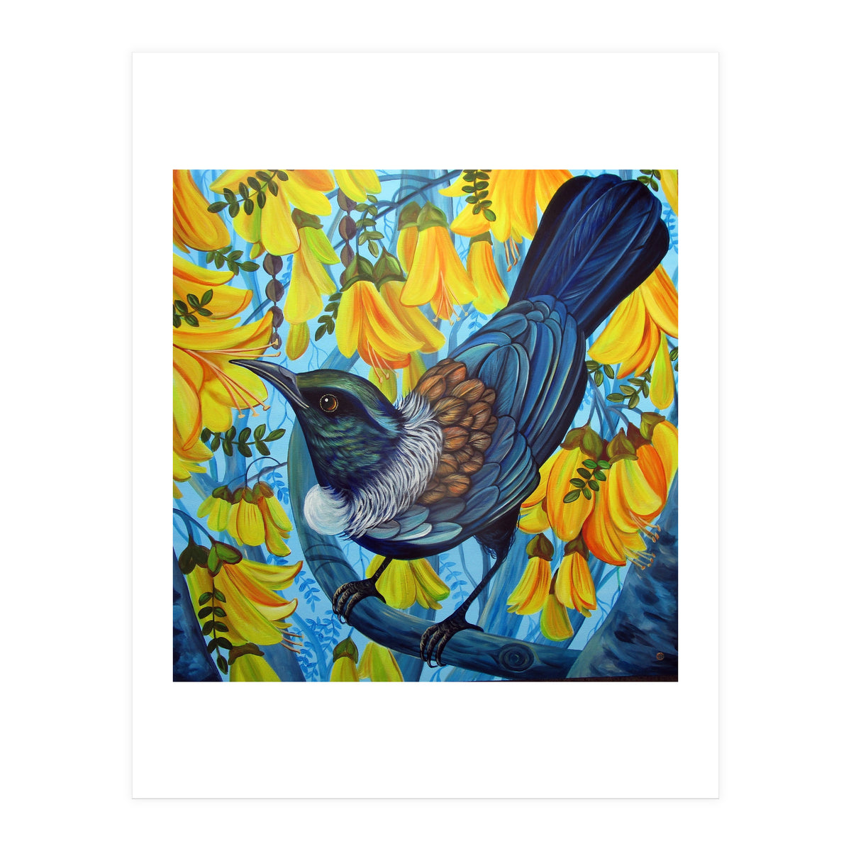 Kowhai (Print Only)