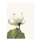 Alive (Print Only) thumbnail