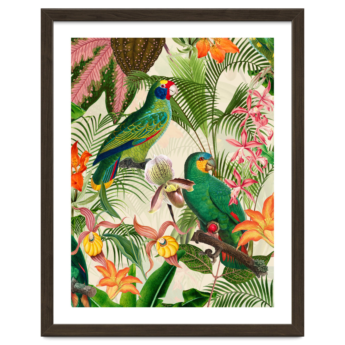 Parrots in tropical Jungle