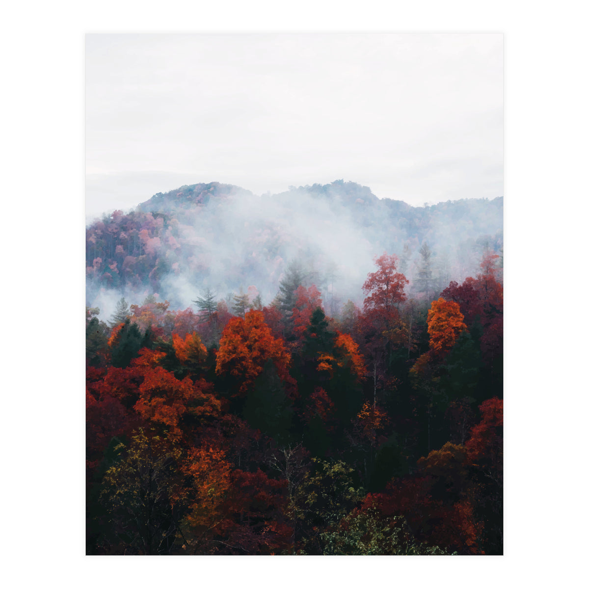 Fog (Print Only)