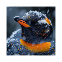 Close Up Penguin In Snow With Water Droplets (Print Only)
