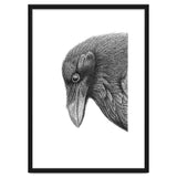 Huginn thumbnail