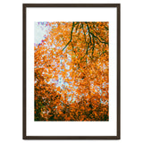 Autumn Leaves thumbnail