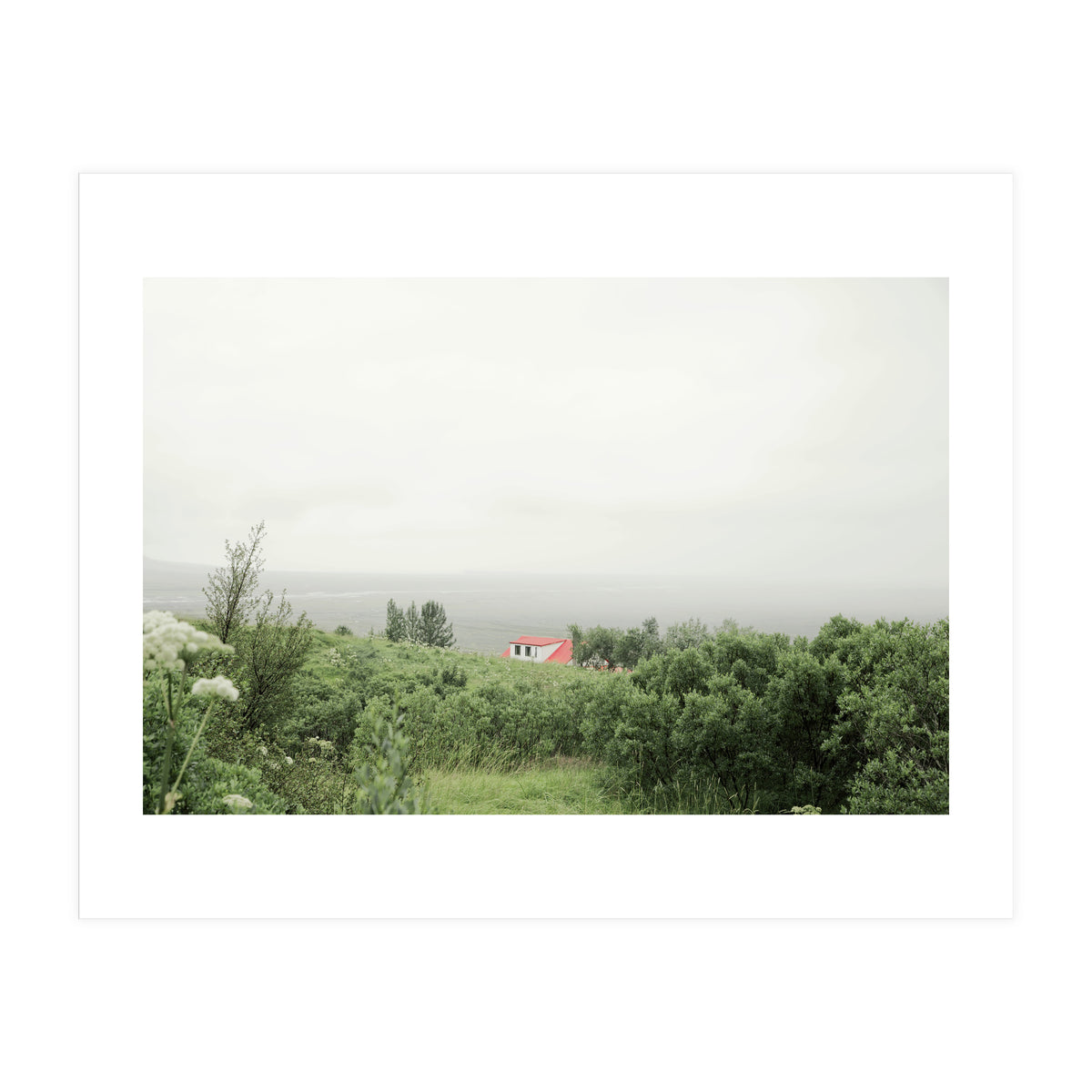 Red Roof house in between the summer green field - Iceland (Print Only)