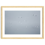 Flying seagulls in the winter sky thumbnail