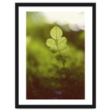 Out of the green thumbnail