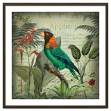 Tropical Bird Nostalgia thumbnail