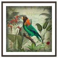 Tropical Bird Nostalgia