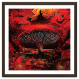 Socotra Dragon Blood tree thumbnail
