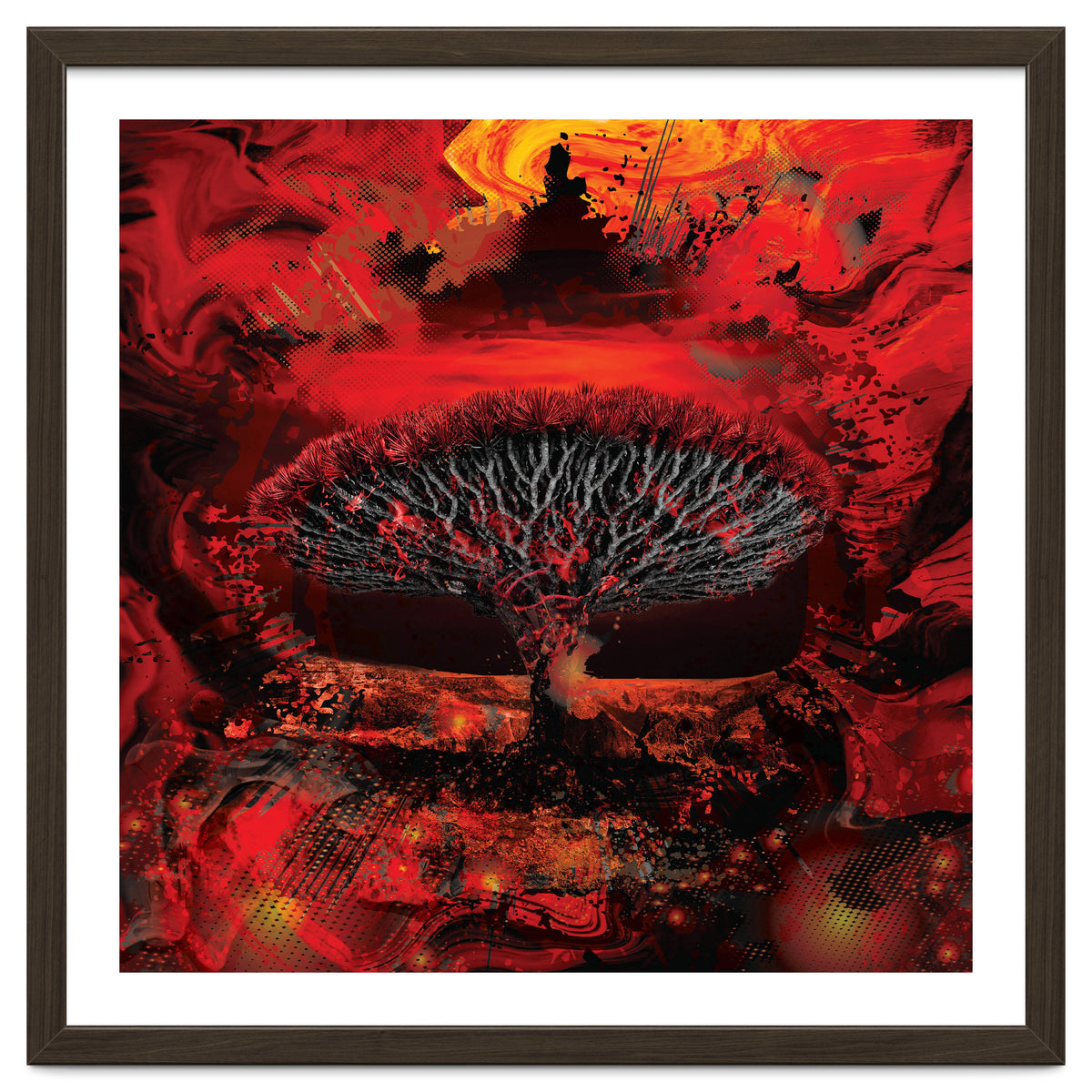 Socotra Dragon Blood tree