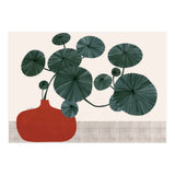 Stephonia Erecta plant (Print Only) thumbnail