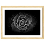 Backyard Flowers In Black And White No 101 thumbnail