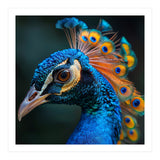 Peacock Bird Portrait Detailed Feathers Vibrant Colors (Print Only) thumbnail