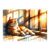 Cat Relaxing In Sunlight (Print Only) thumbnail
