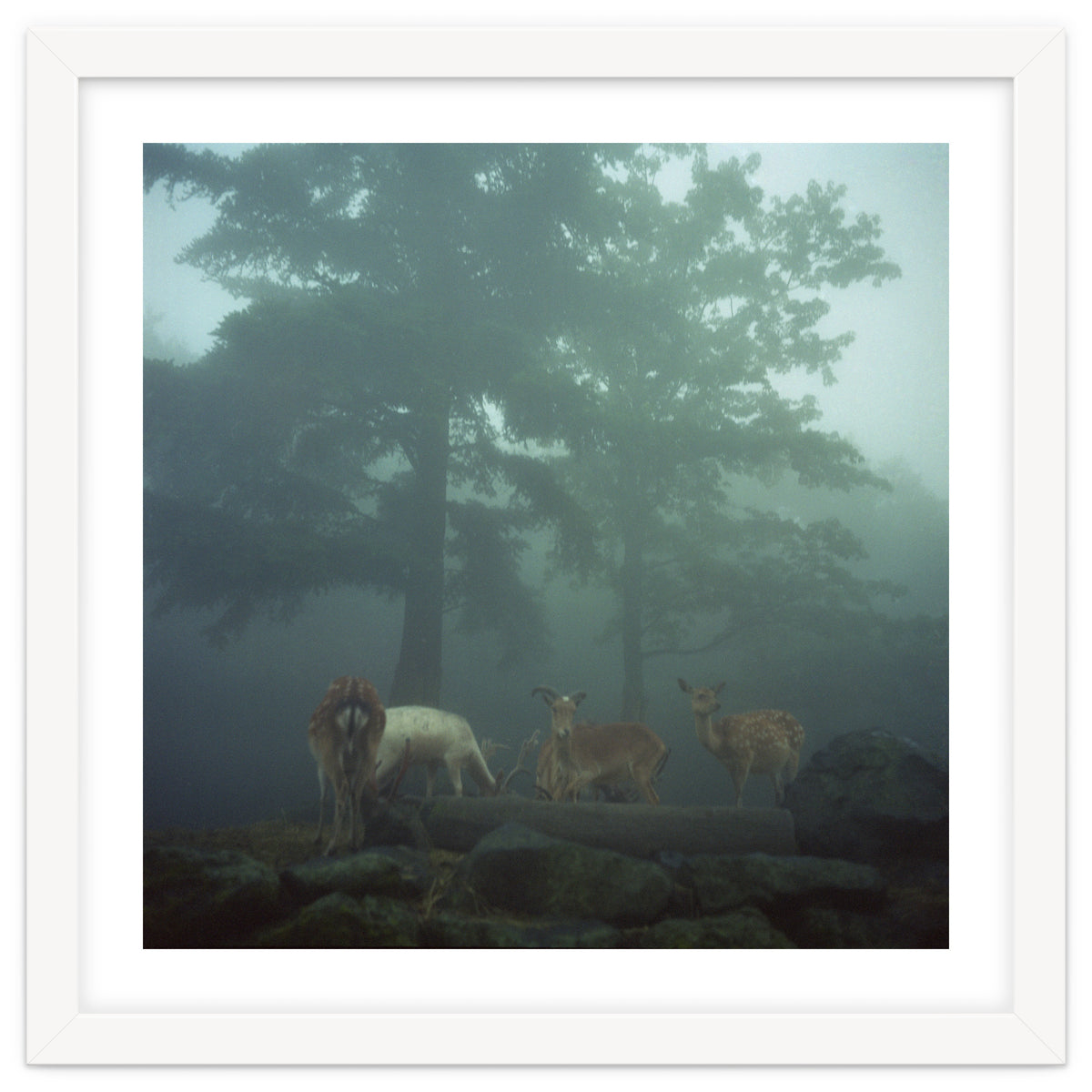 Silence of breath - 05