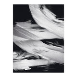 Flybynight  (Print Only) thumbnail