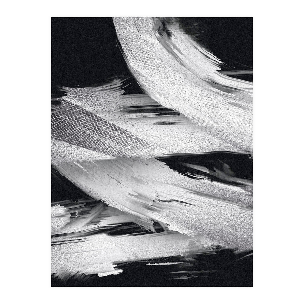 Flybynight  (Print Only)