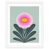 Chrysanthemum - turquoise and pink thumbnail