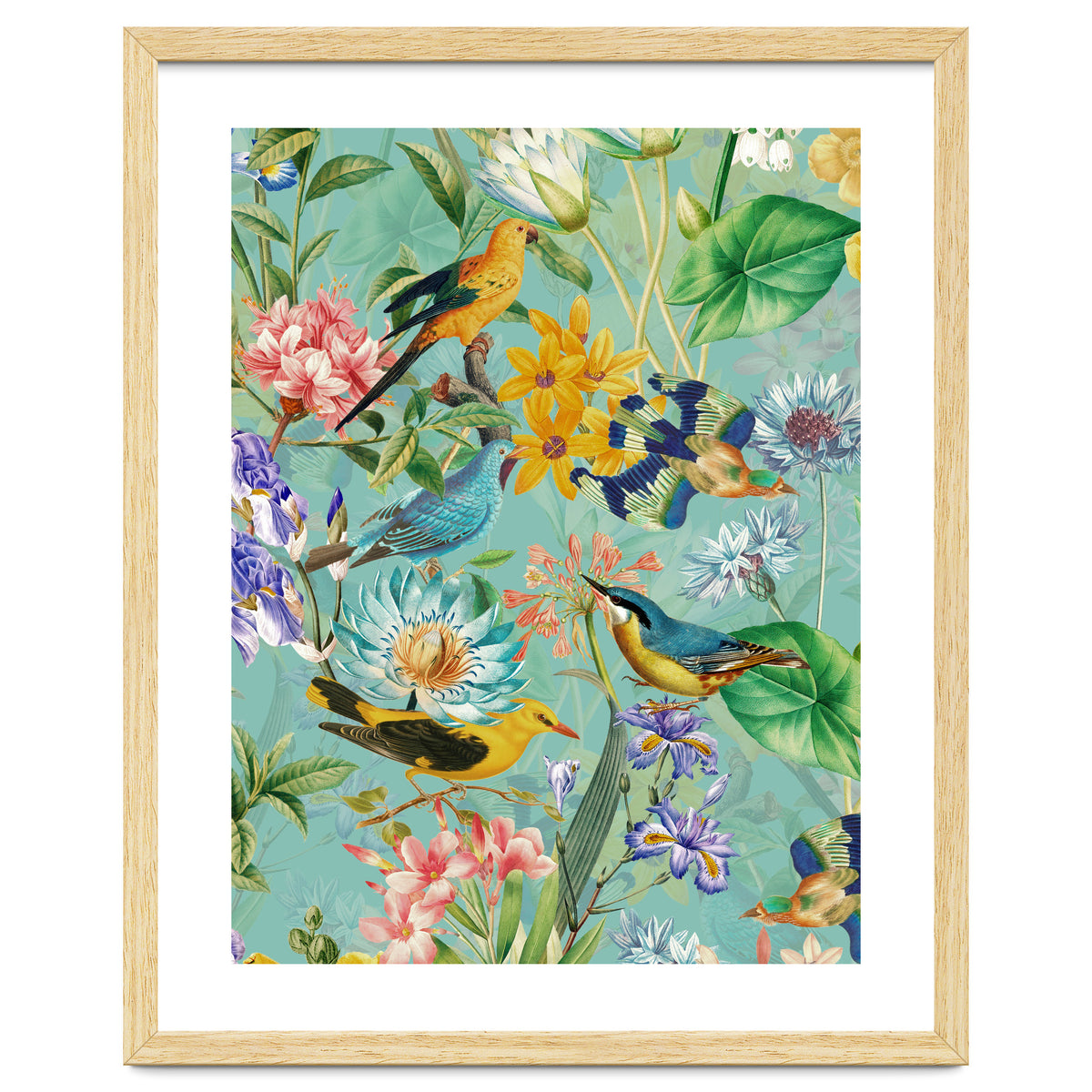 Birds In Tropical Jungle