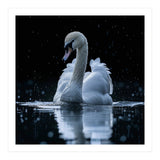 Majestic Swan Swimming In Dark Water (Print Only) thumbnail