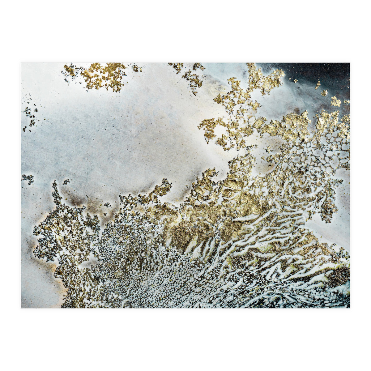 Krishna (Print Only)