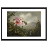 Martin Johnson Heade (Lumberville, 1819-St. Augustine, 1904). Orchid and Hummingbird near a Water... thumbnail