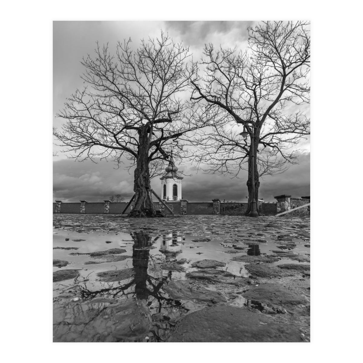 Churches and trees (Print Only)