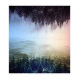 Magic Woods (Print Only) thumbnail