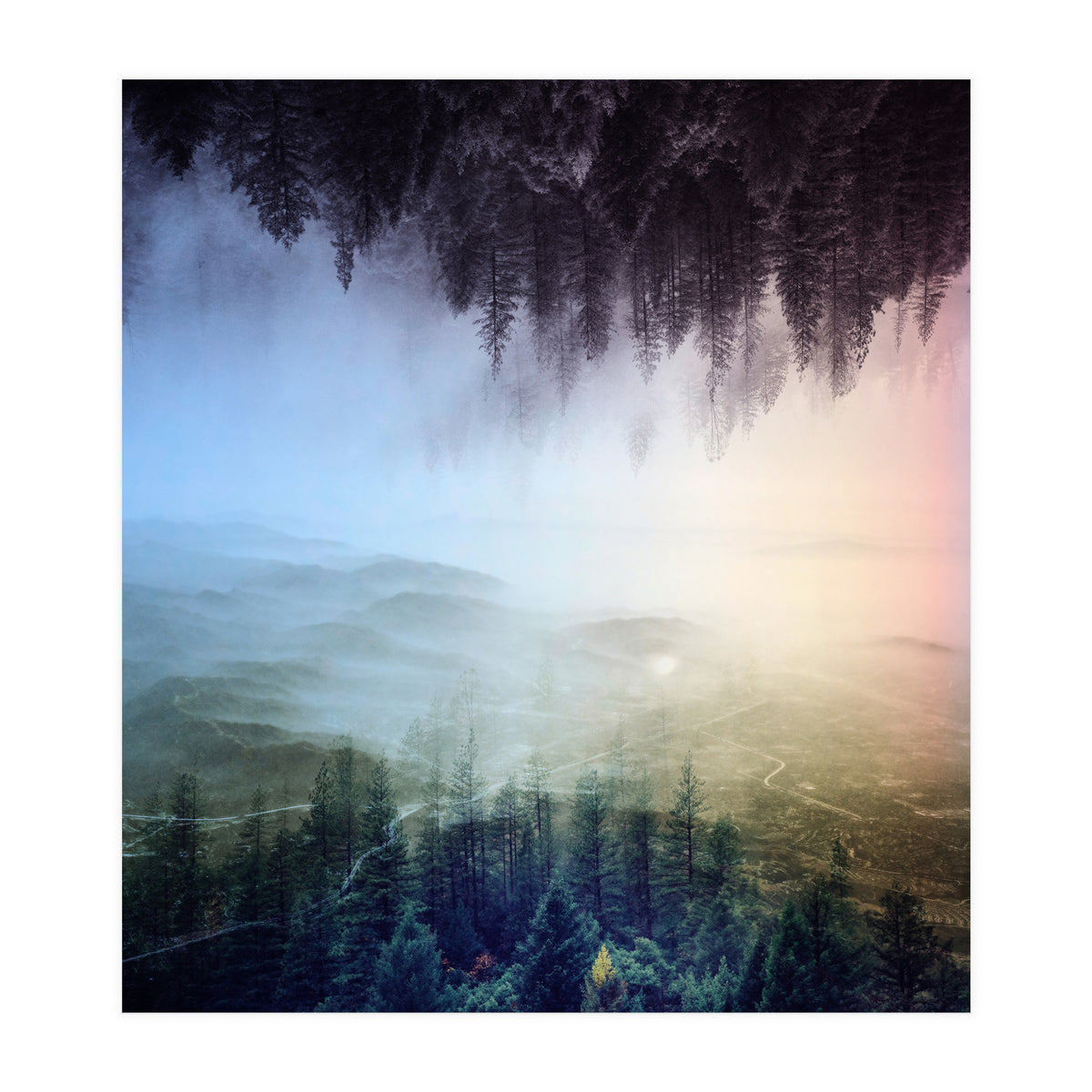 Magic Woods (Print Only)