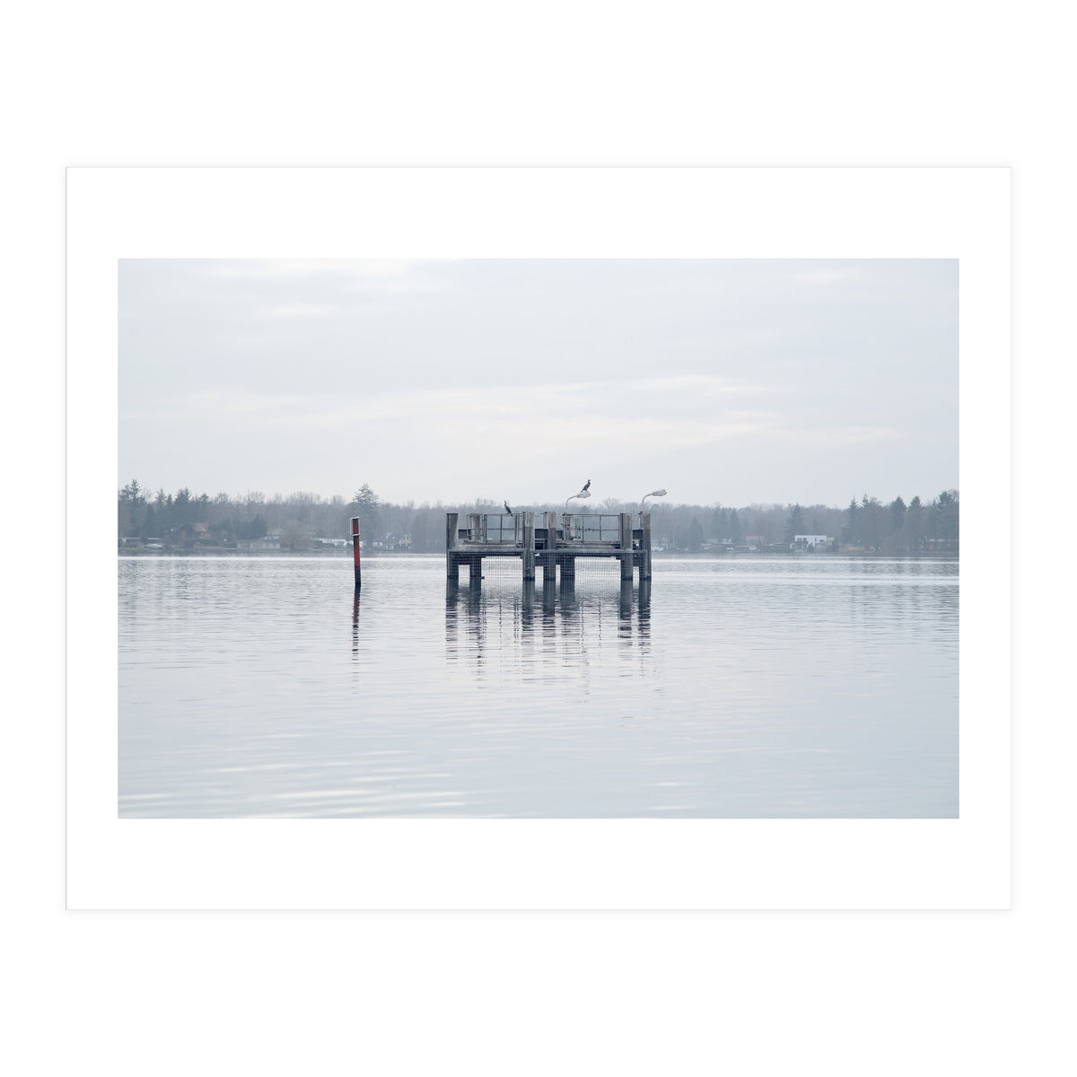 Birds rest in the Lake (Print Only)