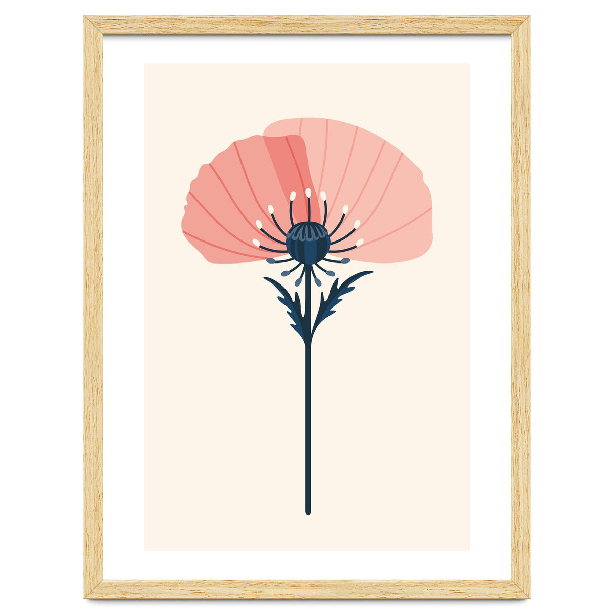 Pink Half Poppy