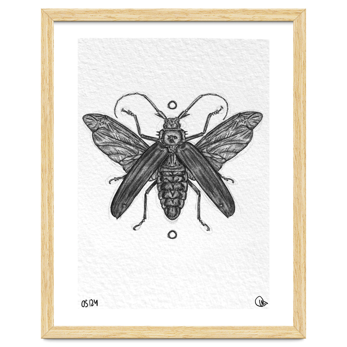 Riesen Longhorn Käfer