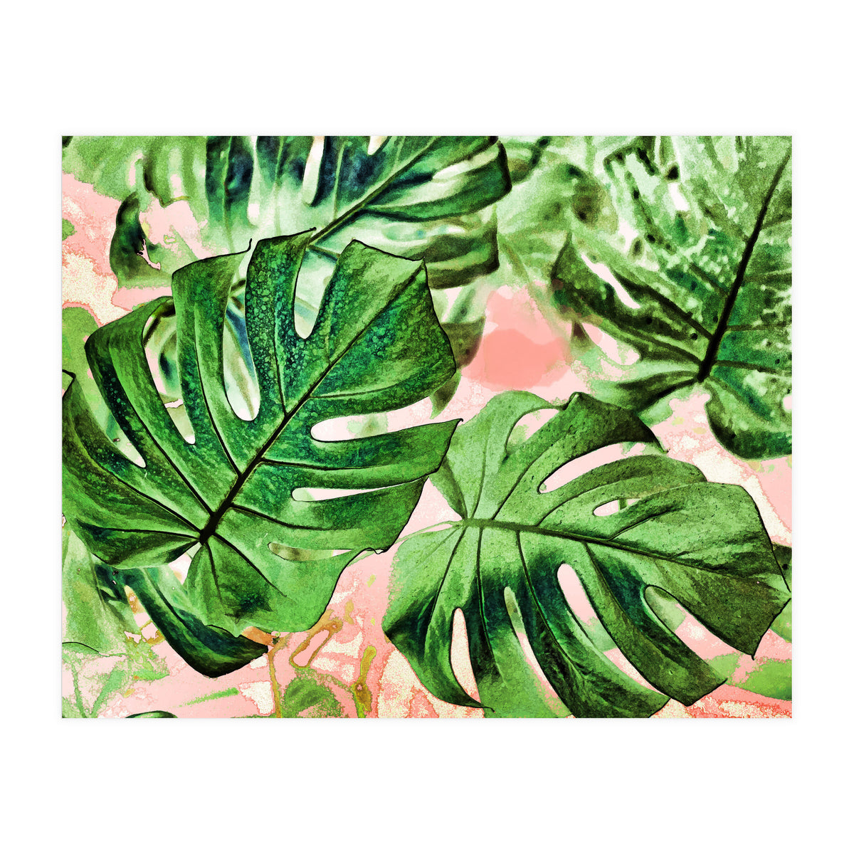 Monstera Beauty #society6 #decor #buyart (Print Only)