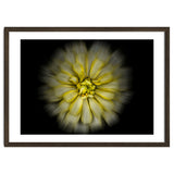 Backyard Flowers No 86 Color Flow Version thumbnail