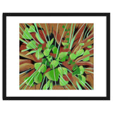 Meadow at spring thumbnail