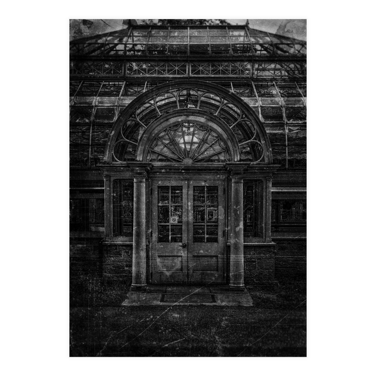 Allan Gardens Conservatory Palm House No 5 Old Film Version (Print Only)