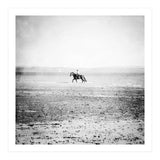 Sea Horse (Print Only) thumbnail