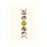 Floral Phases Of The Moon (Print Only) thumbnail