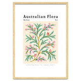 Australian Flora: Wax Flower thumbnail