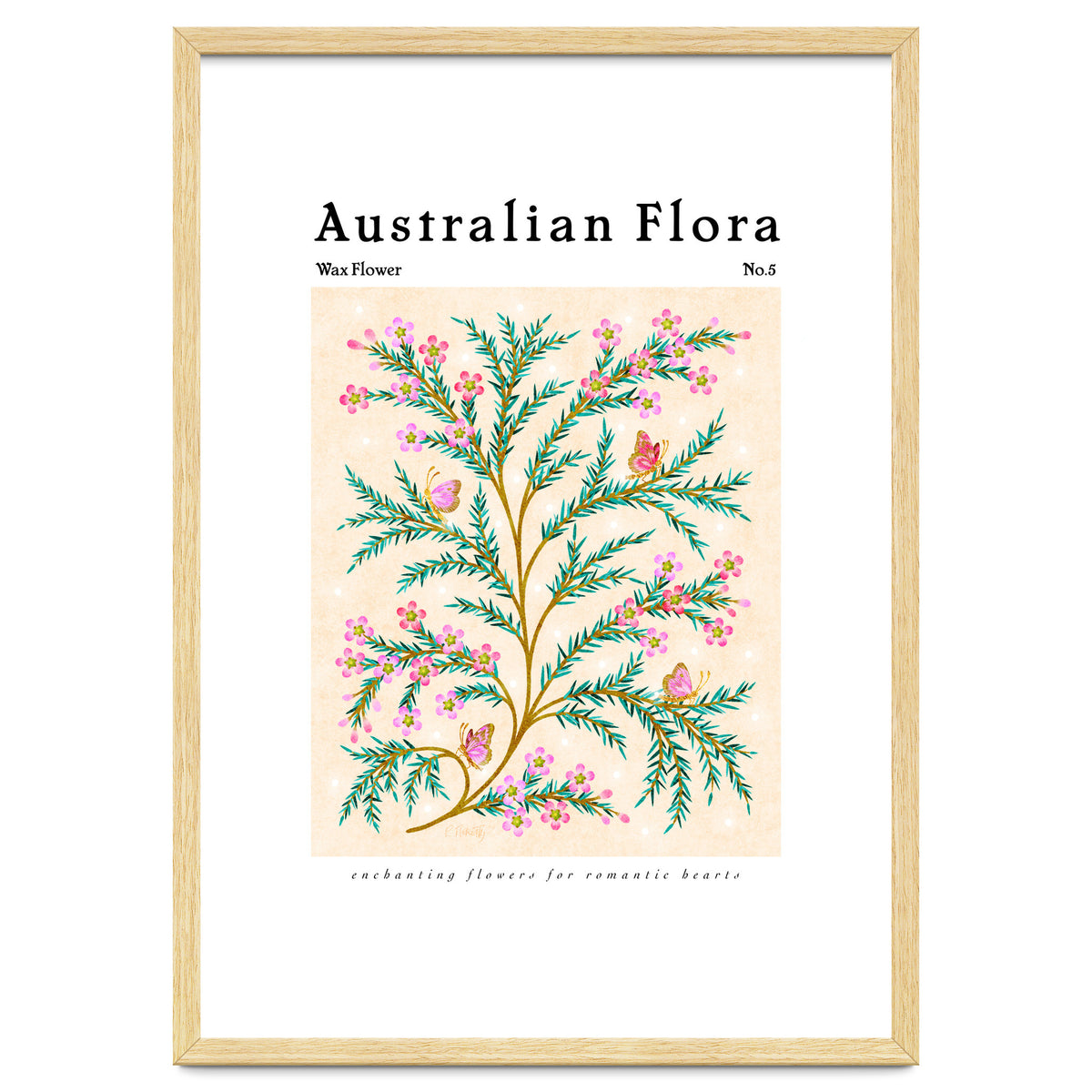 Australian Flora: Wax Flower