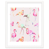 Flamingo Formation thumbnail