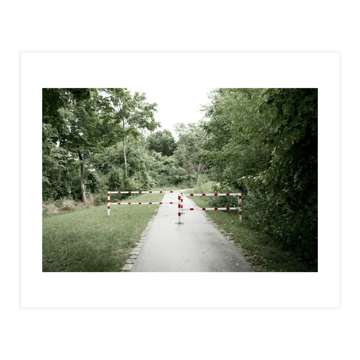 Entrance to the green park (Print Only)