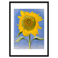 Georgia O’Keeffe – Sunflower, New Mexico (1935) | Bold Modernist Floral Painting Inspired by the American Southwest