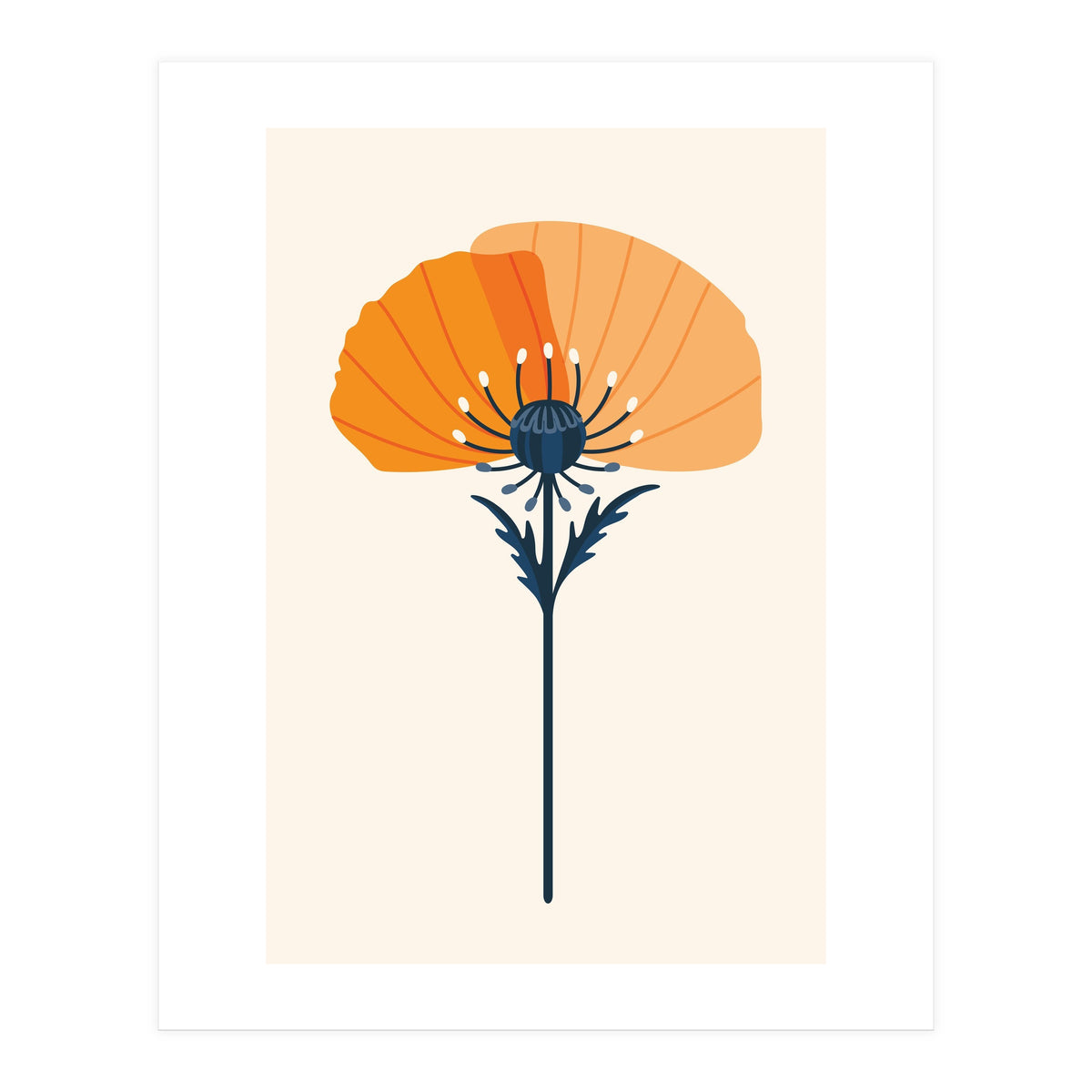 Orange Half Poppy (Print Only)