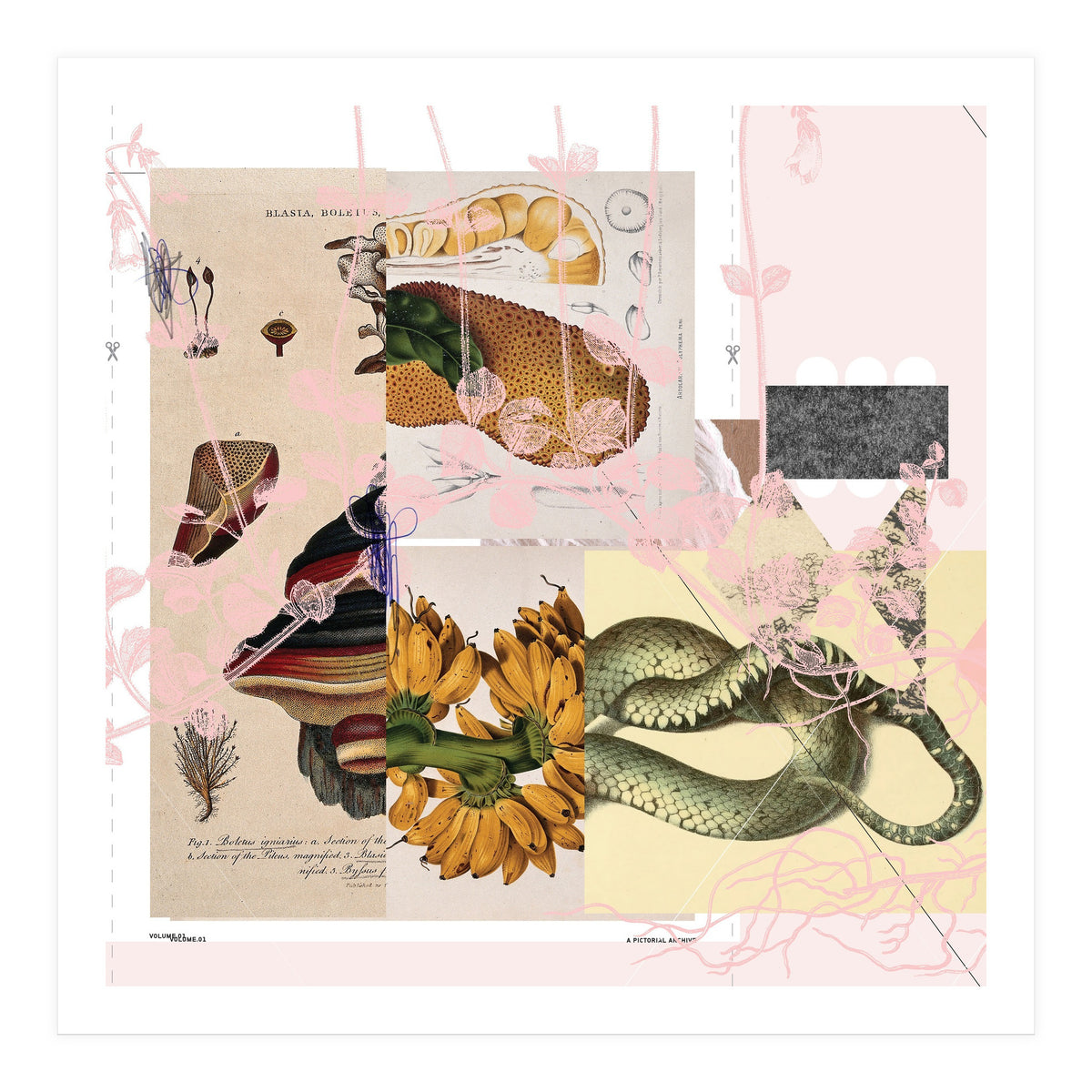 Abstract White Daydream Flower (Print Only)